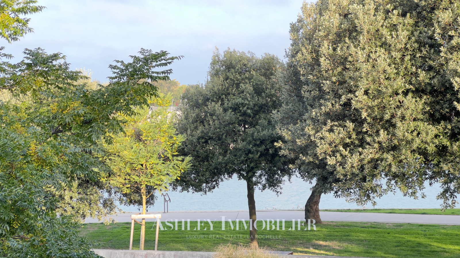 Image_11, Appartement, La Rochelle, ref :1030