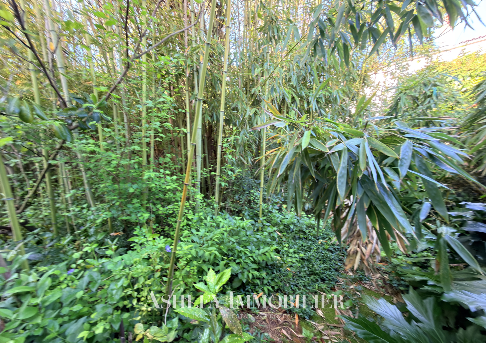 Image_11, Maison, La Rochelle, ref :1057