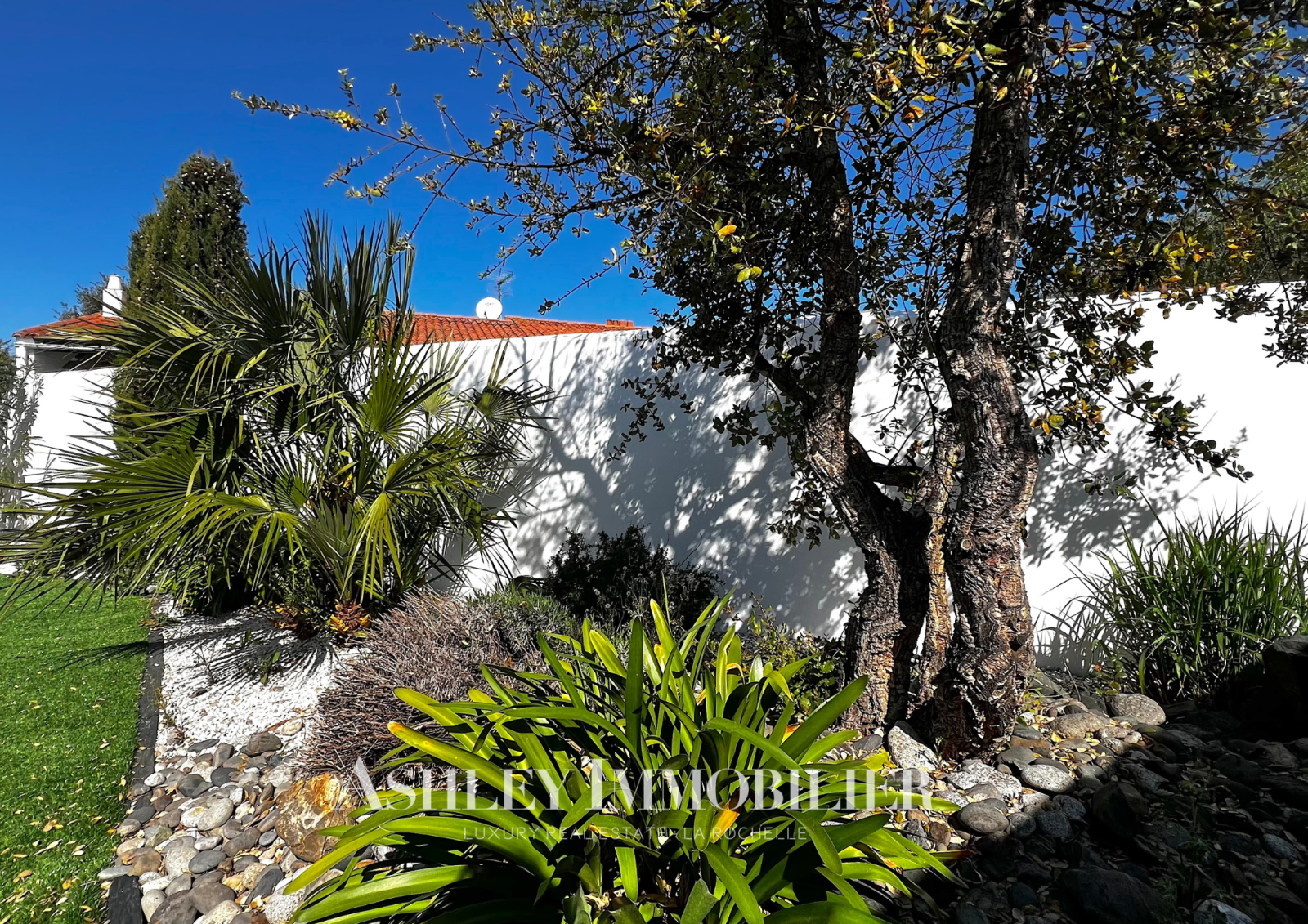 Image_7, Maison, Saint-Martin-de-Ré, ref :1000