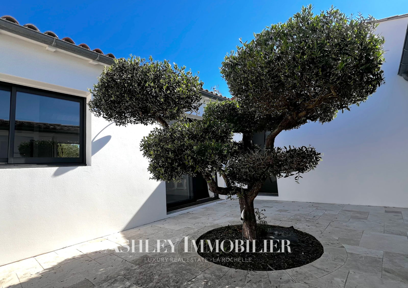 Image_5, Maison, Saint-Martin-de-Ré, ref :1000