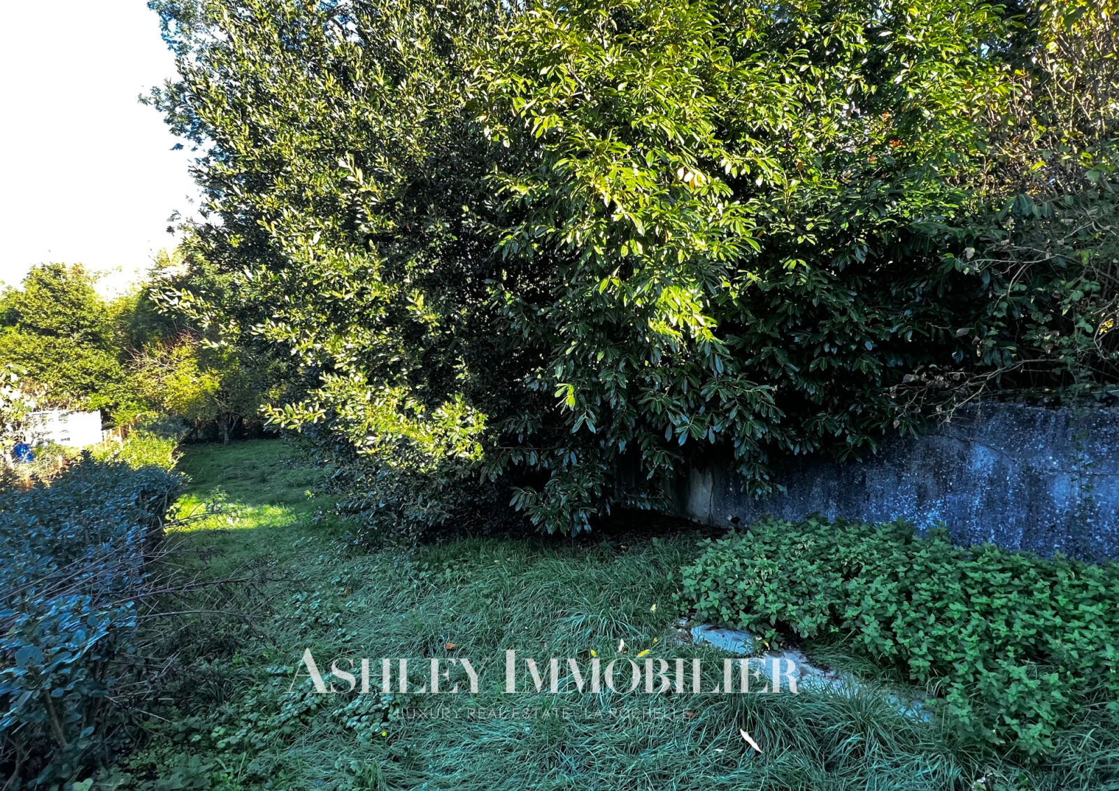 Image_13, Maison de village, Le Gué-de-Velluire, ref :956