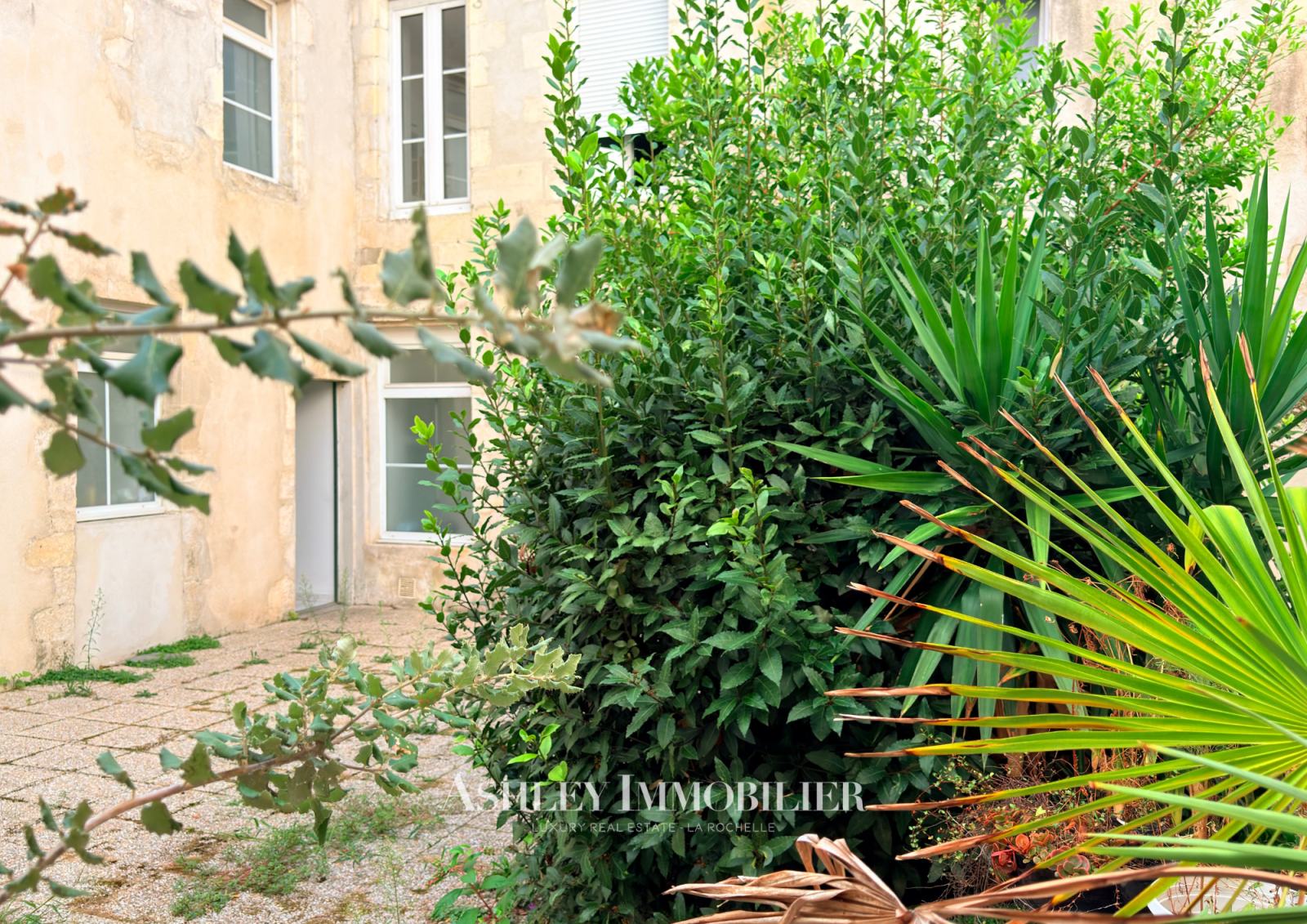 Image_5, Immeuble, La Rochelle, ref :1054