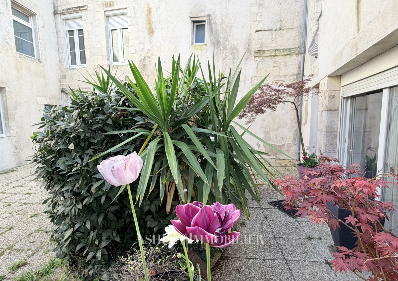 Image_1, Immeuble, La Rochelle, ref :1054