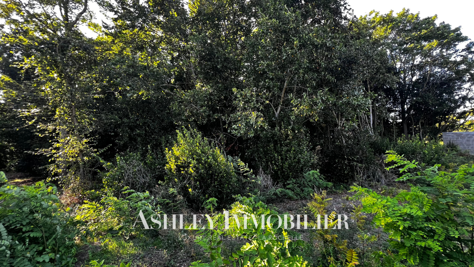 Image_1, Terrain, Nieul-sur-Mer, ref :973