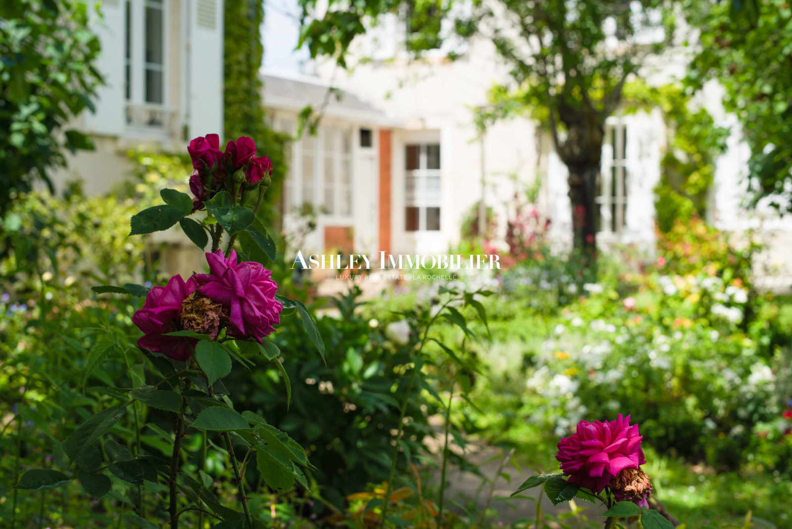 Image_2, Maison, La Rochelle, ref :VENDU
