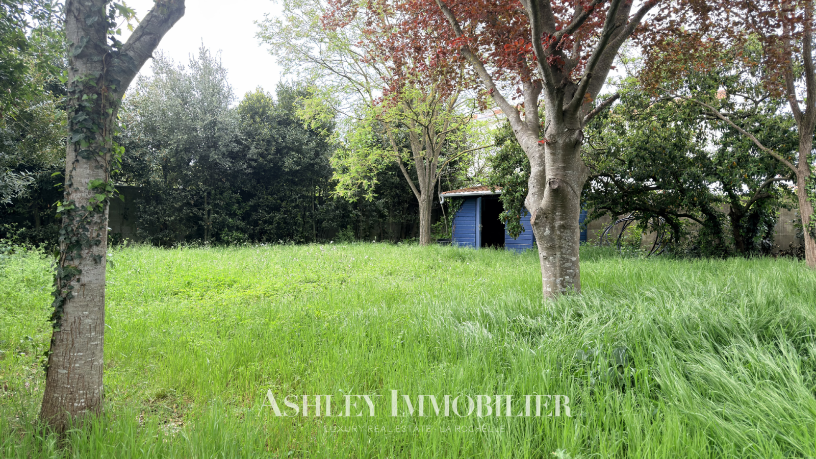 Image_18, Maison, La Rochelle, ref :972