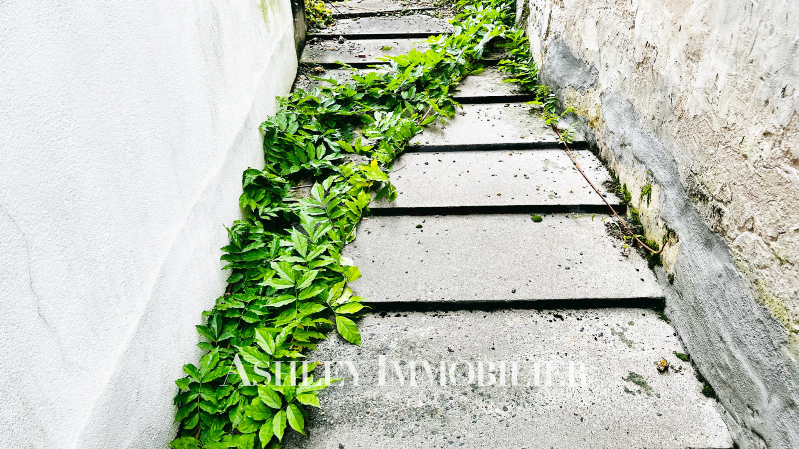 Image_18, Maison de village, Le Gué-de-Velluire, ref :956